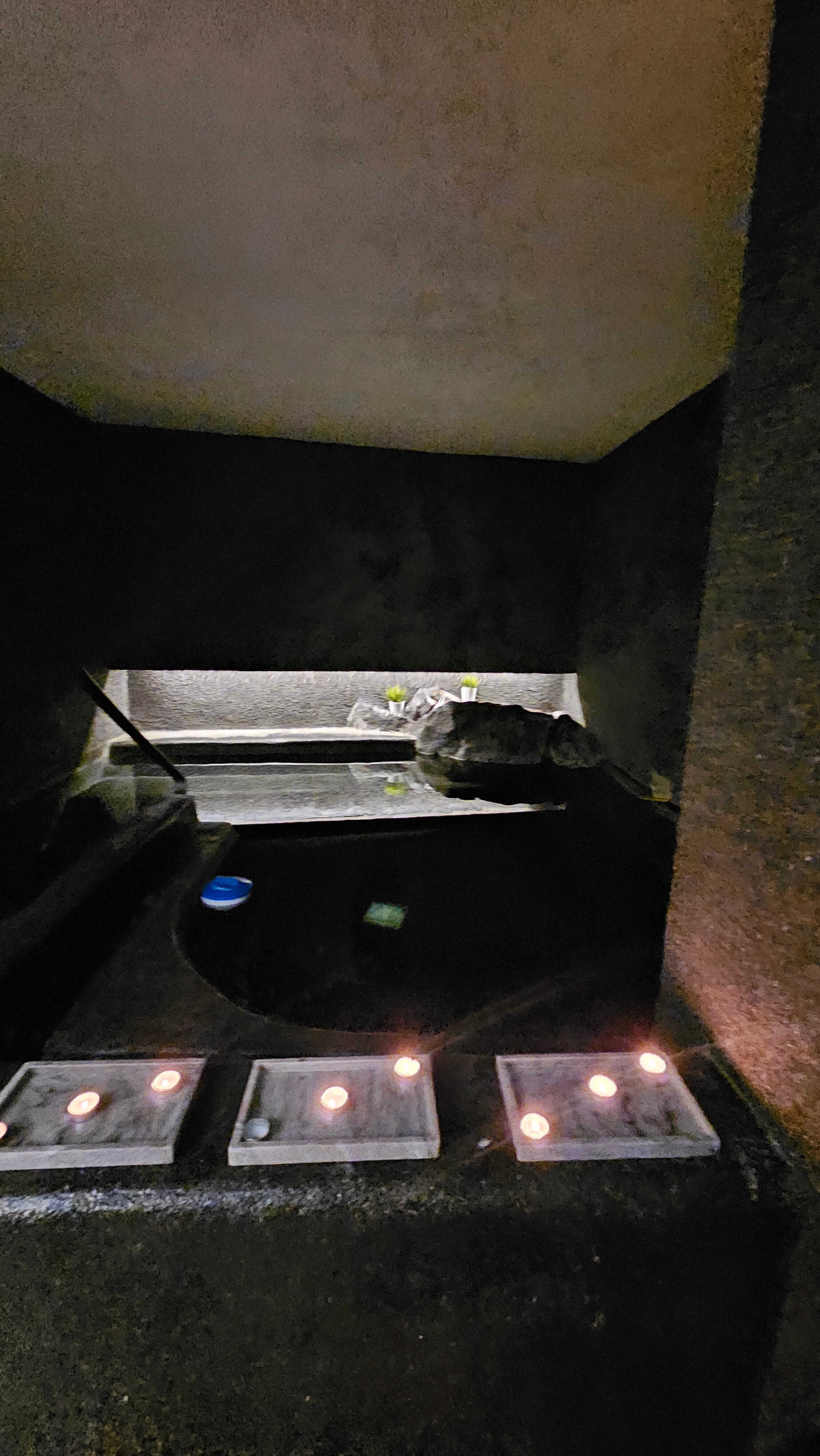 阿娜尔沃尔中央酒店-官方