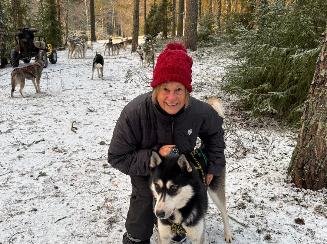 Arctic Expedition-埃斯波必去景点