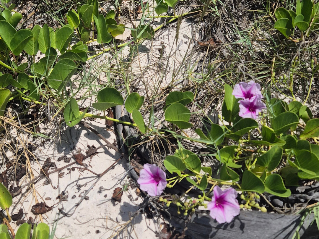 Bazaruto Incoming Agency-Vilanculos必去景点