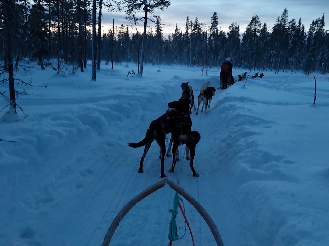 Lapland Safaris Yllas-Akaslompolo必去景点
