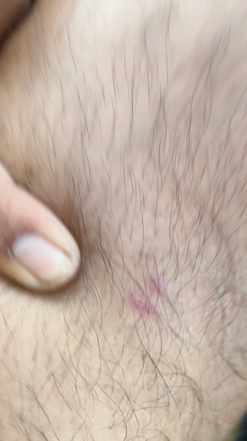 Aranyakam Homestay-官方