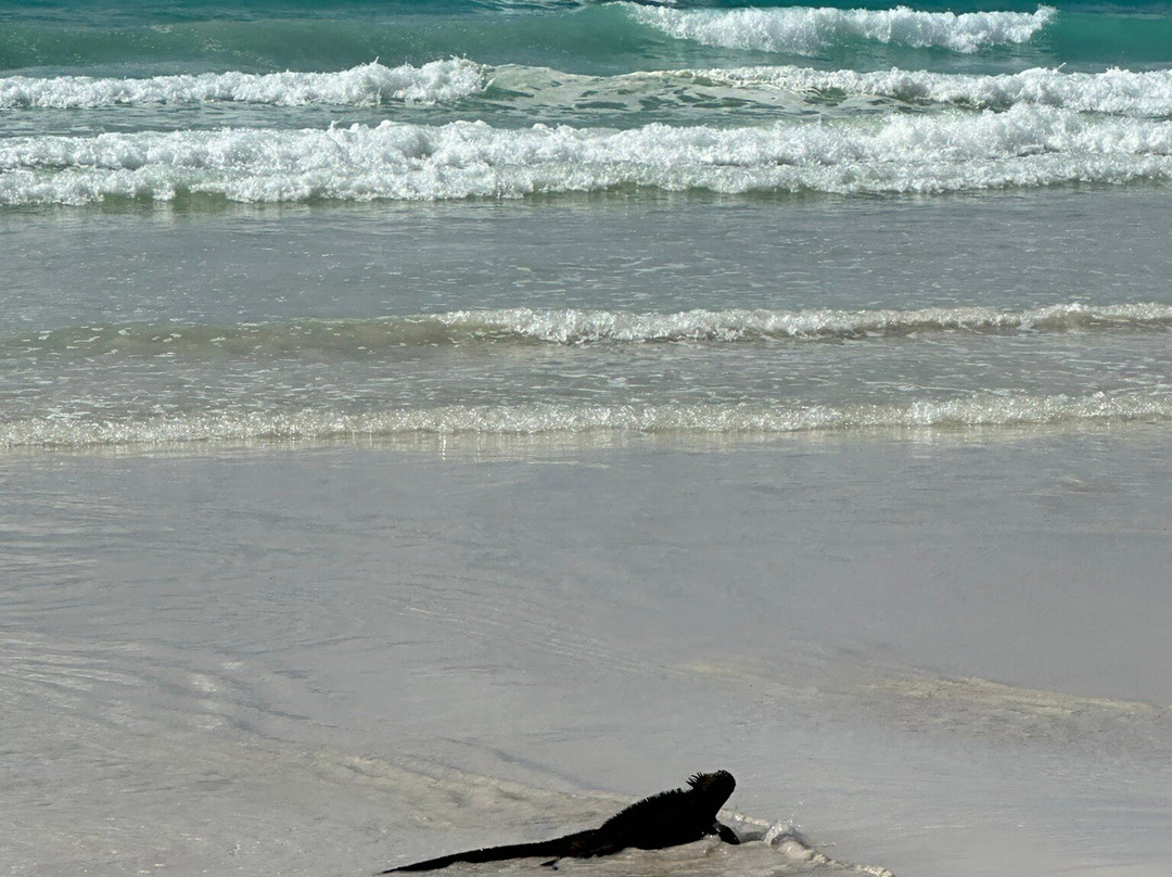 Galapagos Path-阿约拉港必去景点