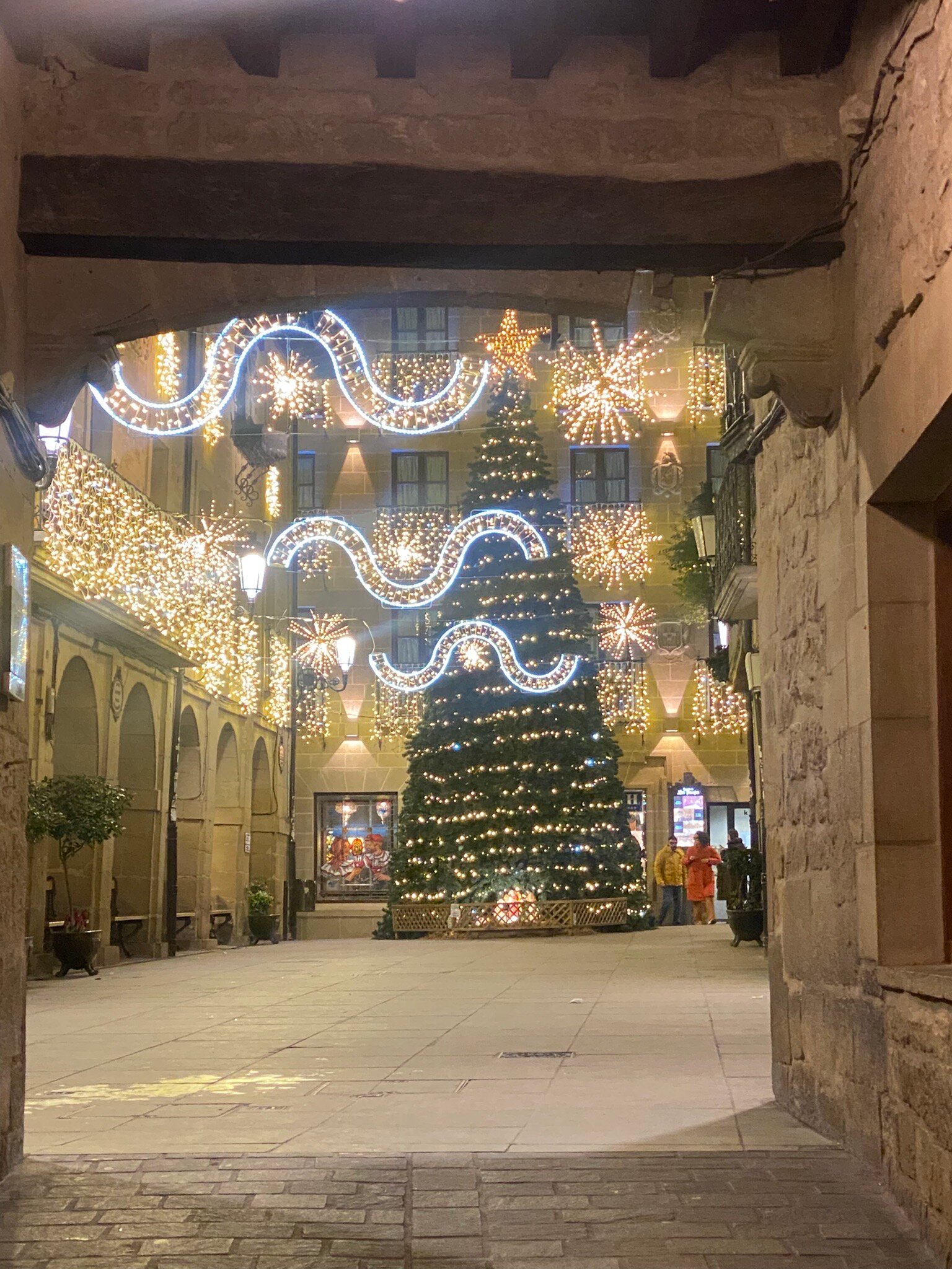 洛斯帕拉赫斯酒店-官方