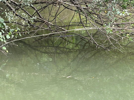 Hotel Punta Franca主图