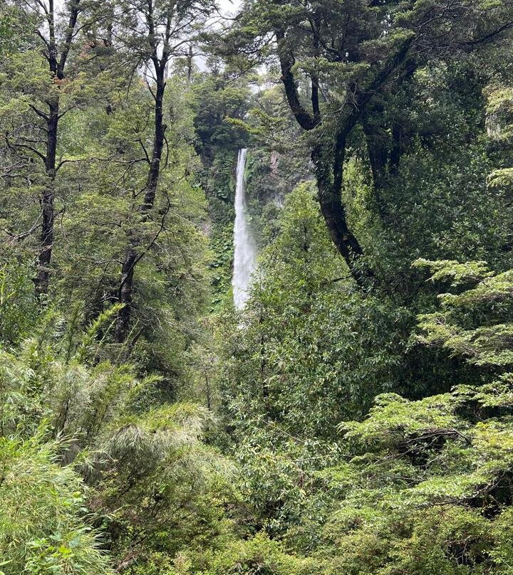 Parque Ojos del Caburgua-普孔必去景点