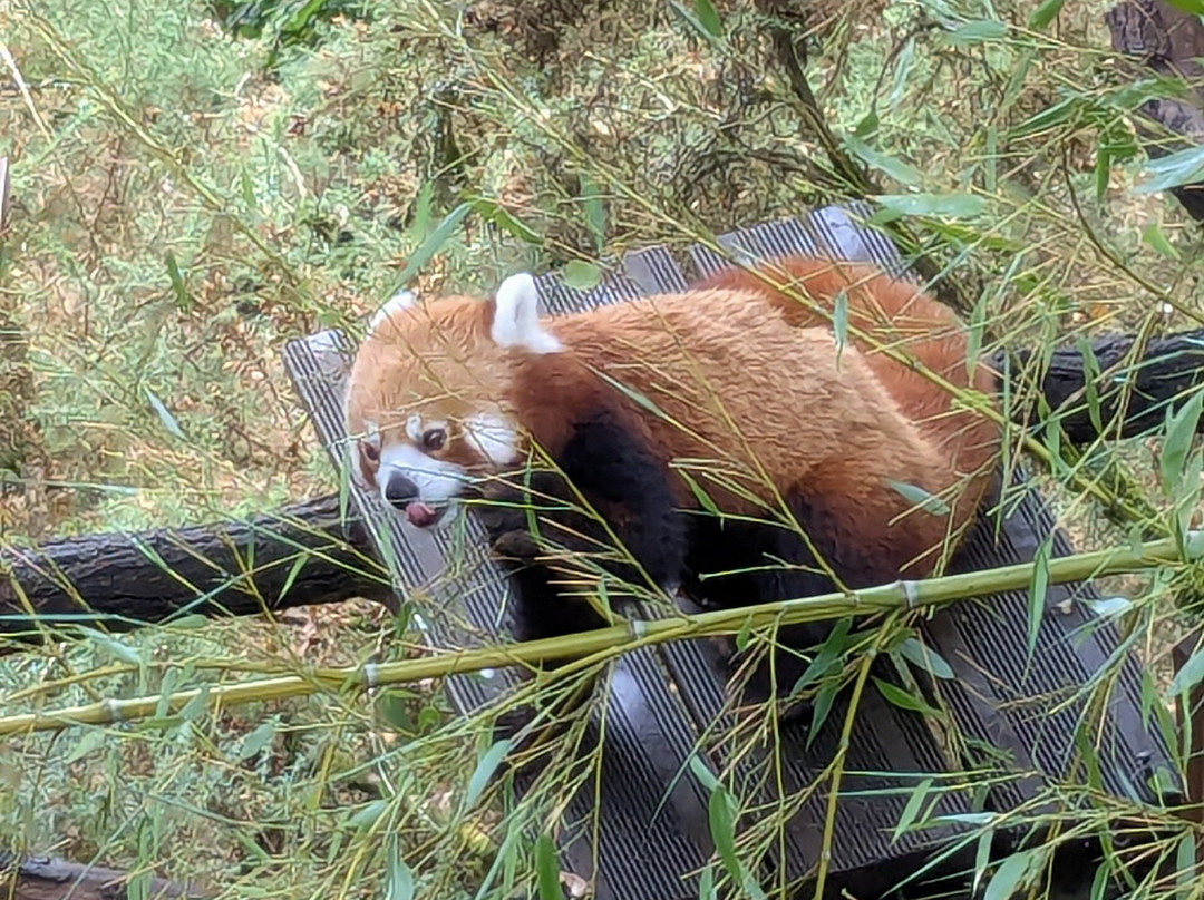 Les Terres De Nataé-Pont-Scorff必去景点