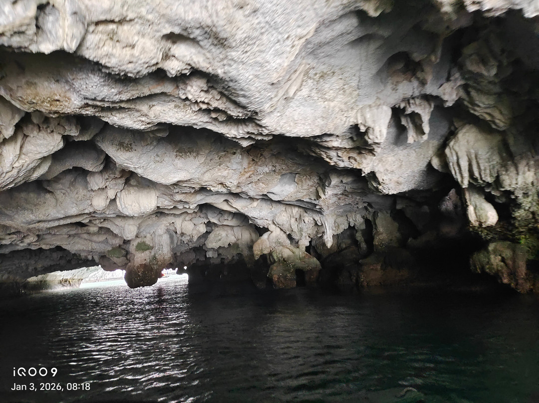 OC Tourist-胡志明市必去景点