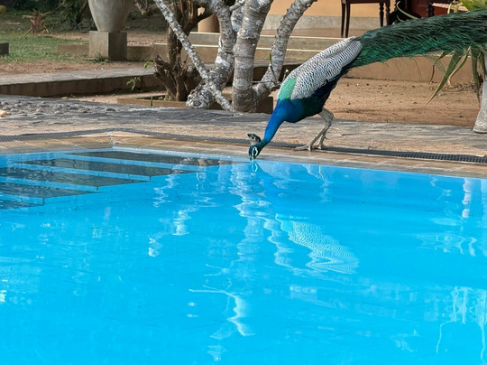 Shangri-Lanka Villa主图