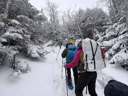 Adventure Untamed-纽约市必去景点