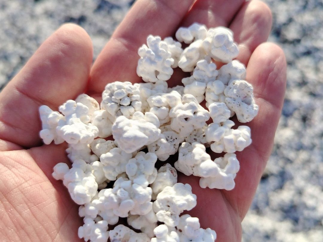 Popcorn Playa-科拉雷侯必去景点