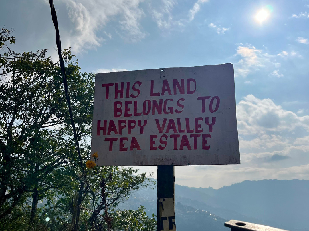 Happy Valley Tea Estate-大吉岭必去景点