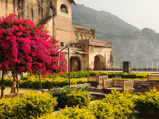 Driver India Private Tours-新德里必去景点