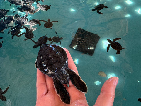 Cuba Libre Pro Excursiones Varadero-巴拉德罗必去景点