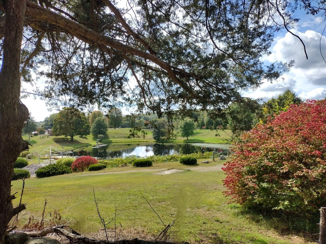 阿莫斯湖小屋