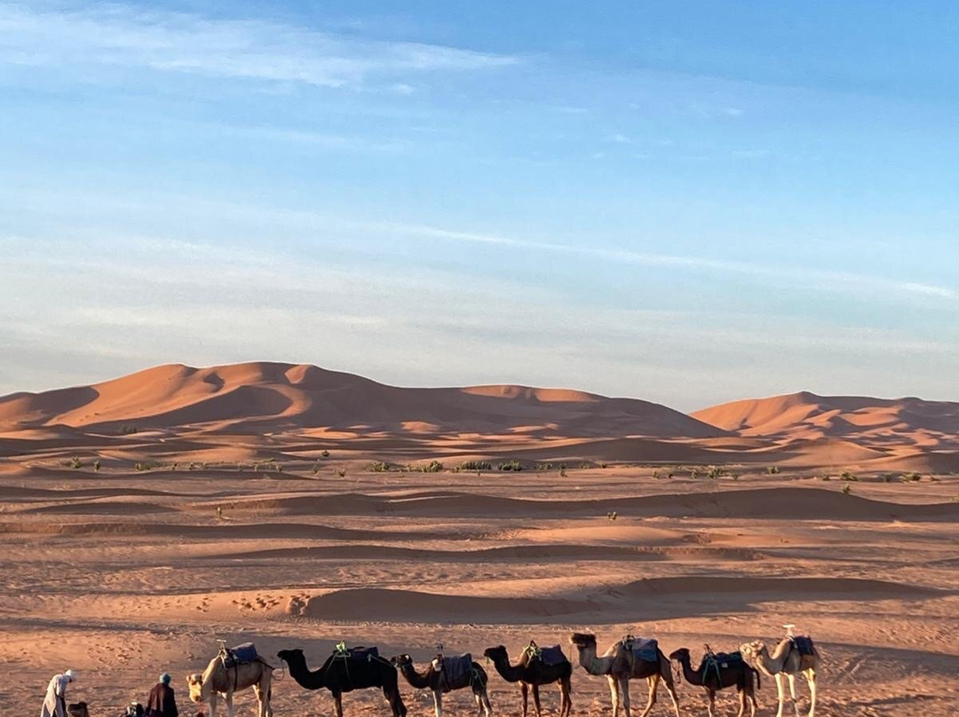 Make Morocco Tours-丹吉尔必去景点