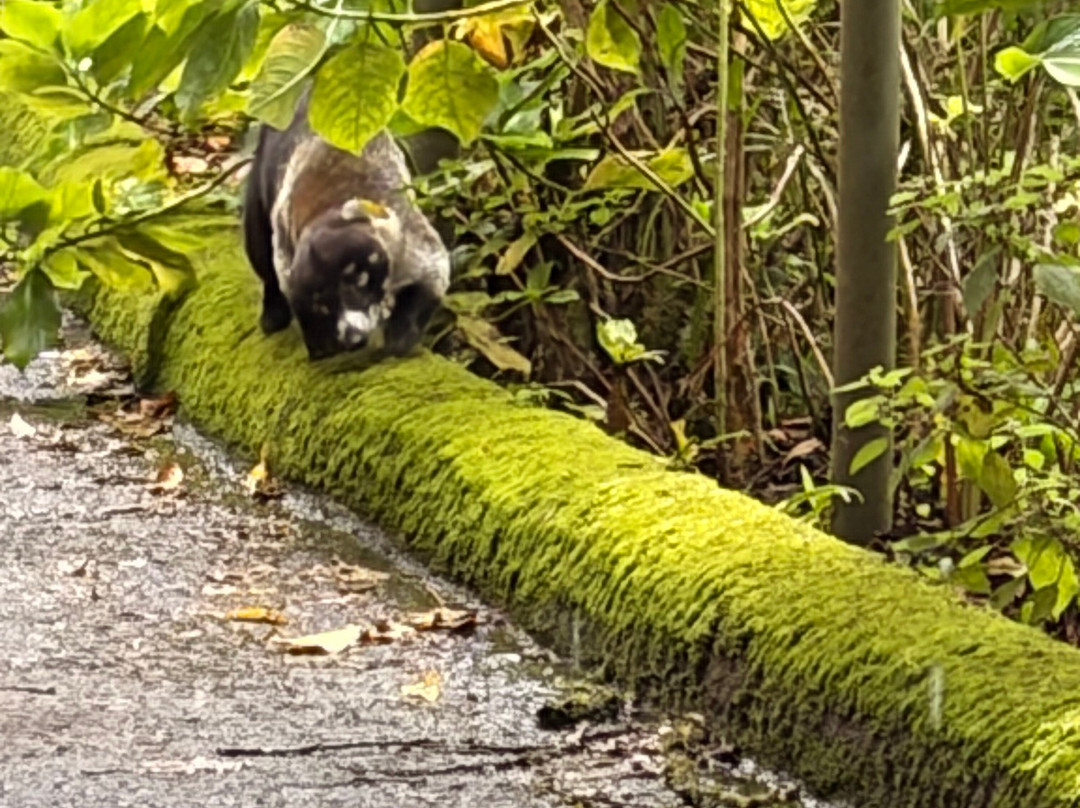 Explornatura-图里亚尔瓦必去景点