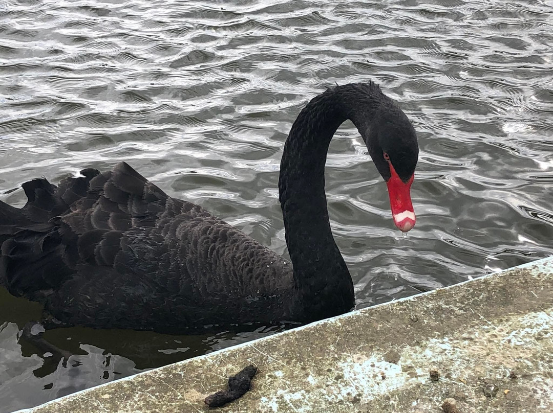 Chartwell-Westerham必去景点