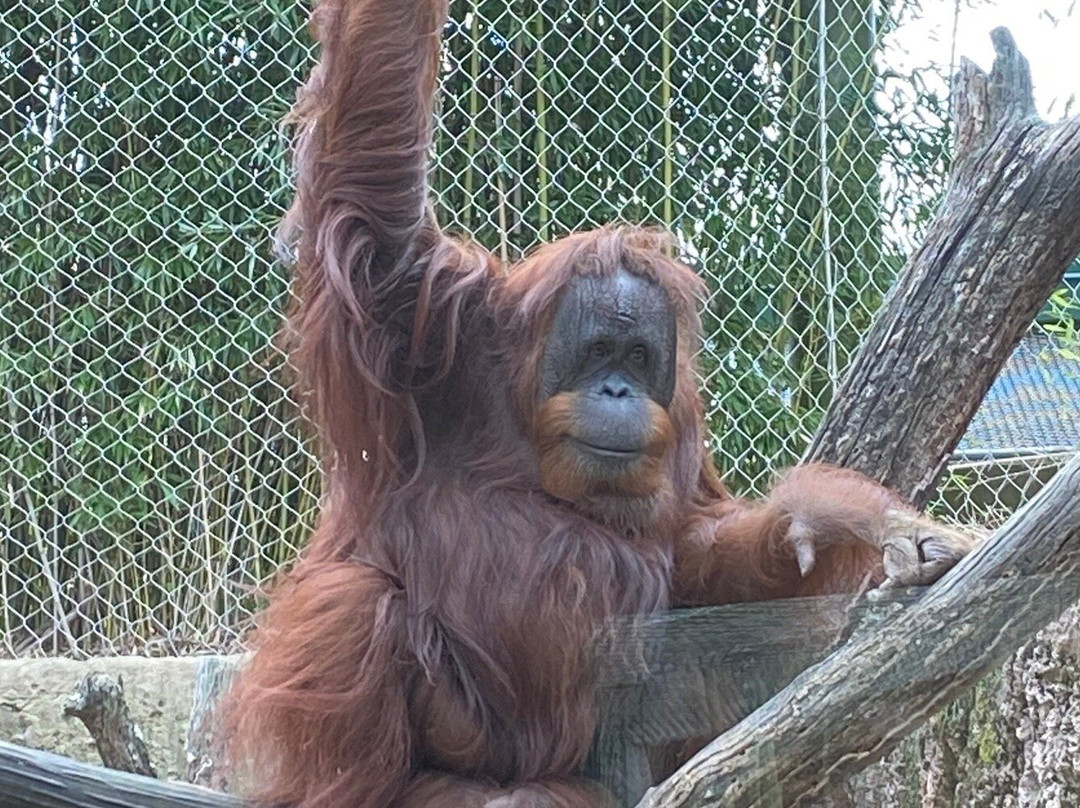 Louisville Zoo-路易斯维尔必去景点
