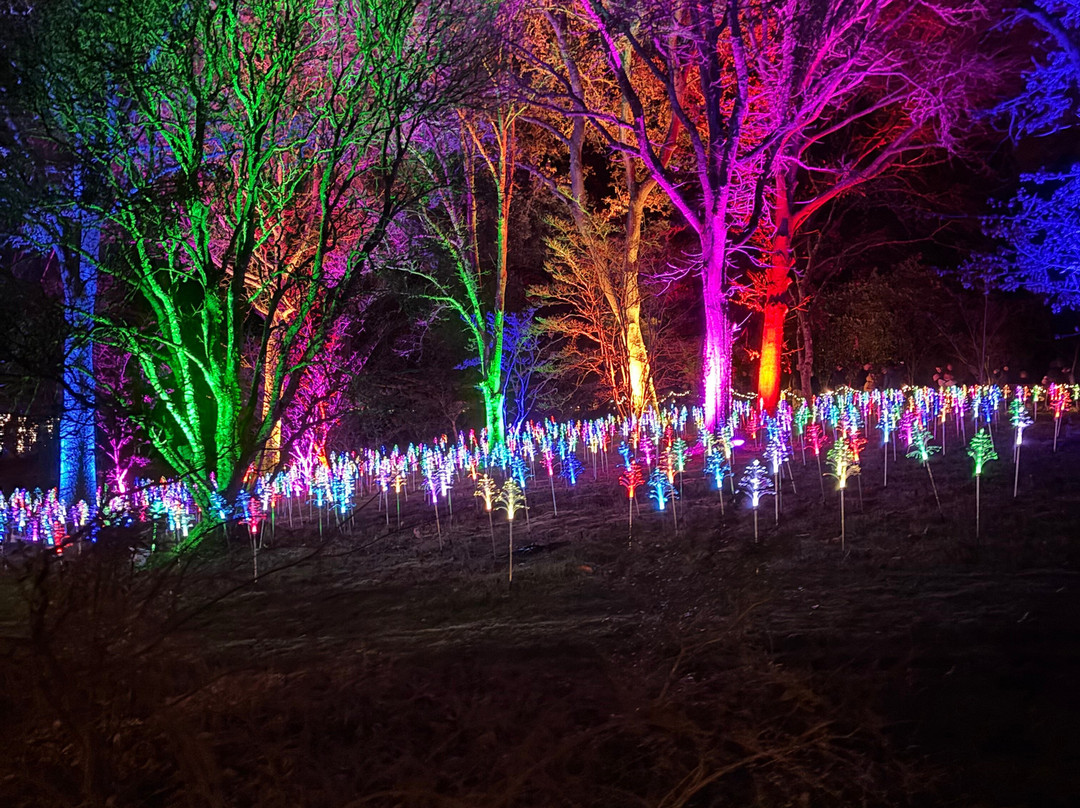 Light Up Trails-罗姆西必去景点