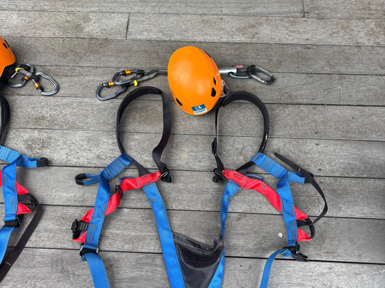 Aroha Luxury New Zealand Tours-Tokoroa必去景点