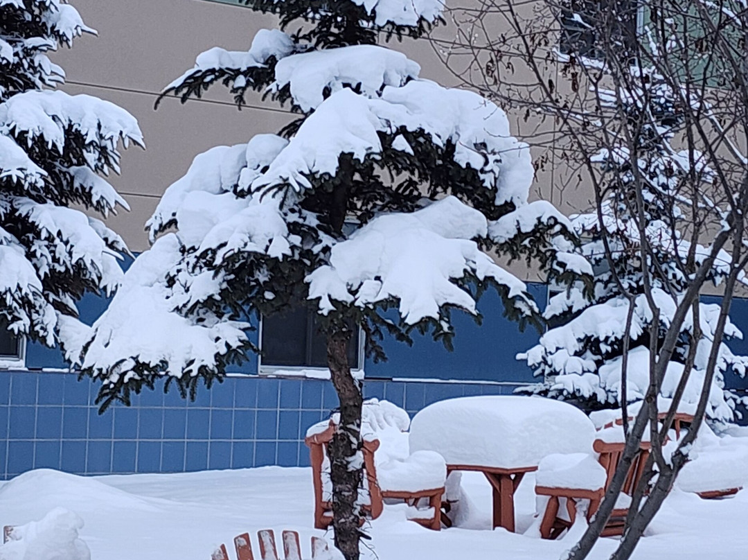 戴蒙德中心酒店主图