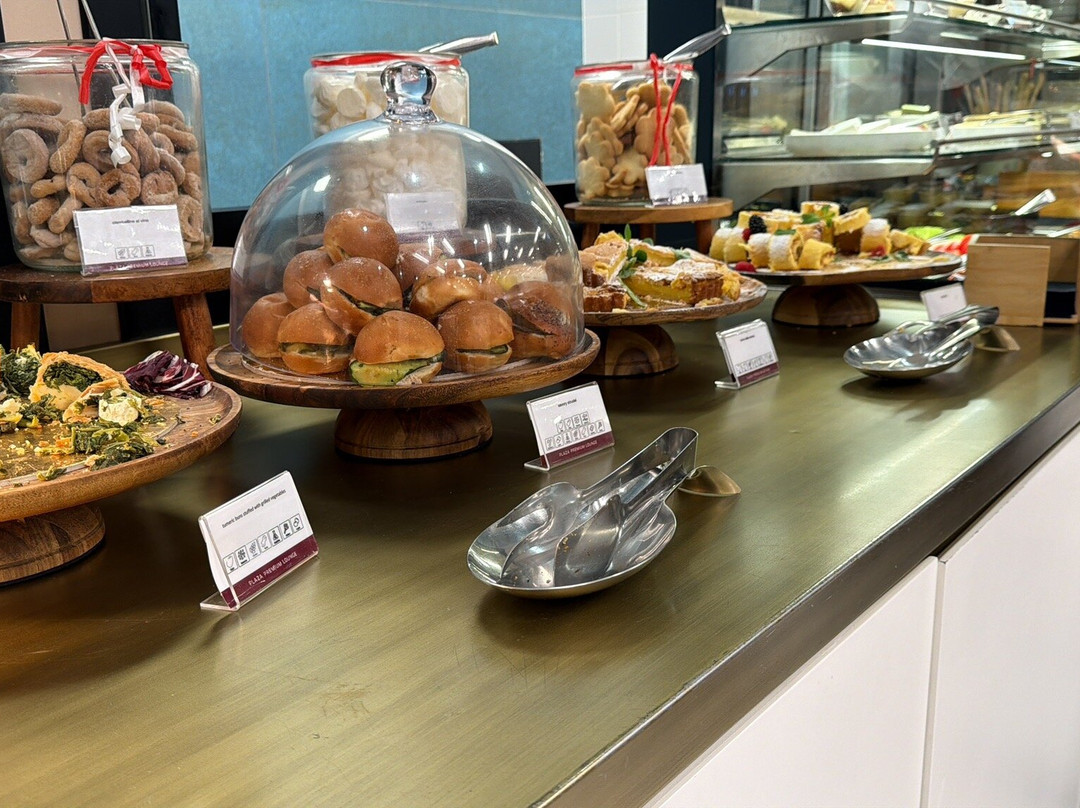 Plaza Premium Lounge (Schengen Area Departures Terminal 1)-菲乌米奇诺必去景点