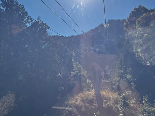 伊豆国全景公园-伊豆之国市必去景点