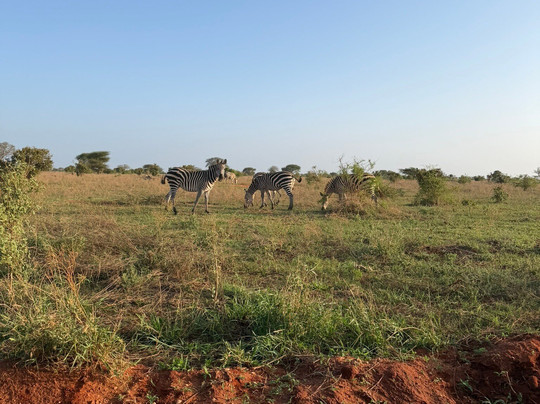 Escursioni Safari Kenya-瓦塔木必去景点