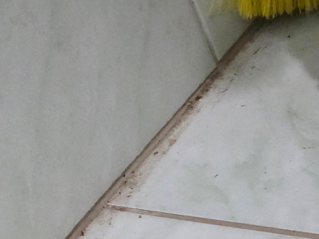 Pousada Maktub主图