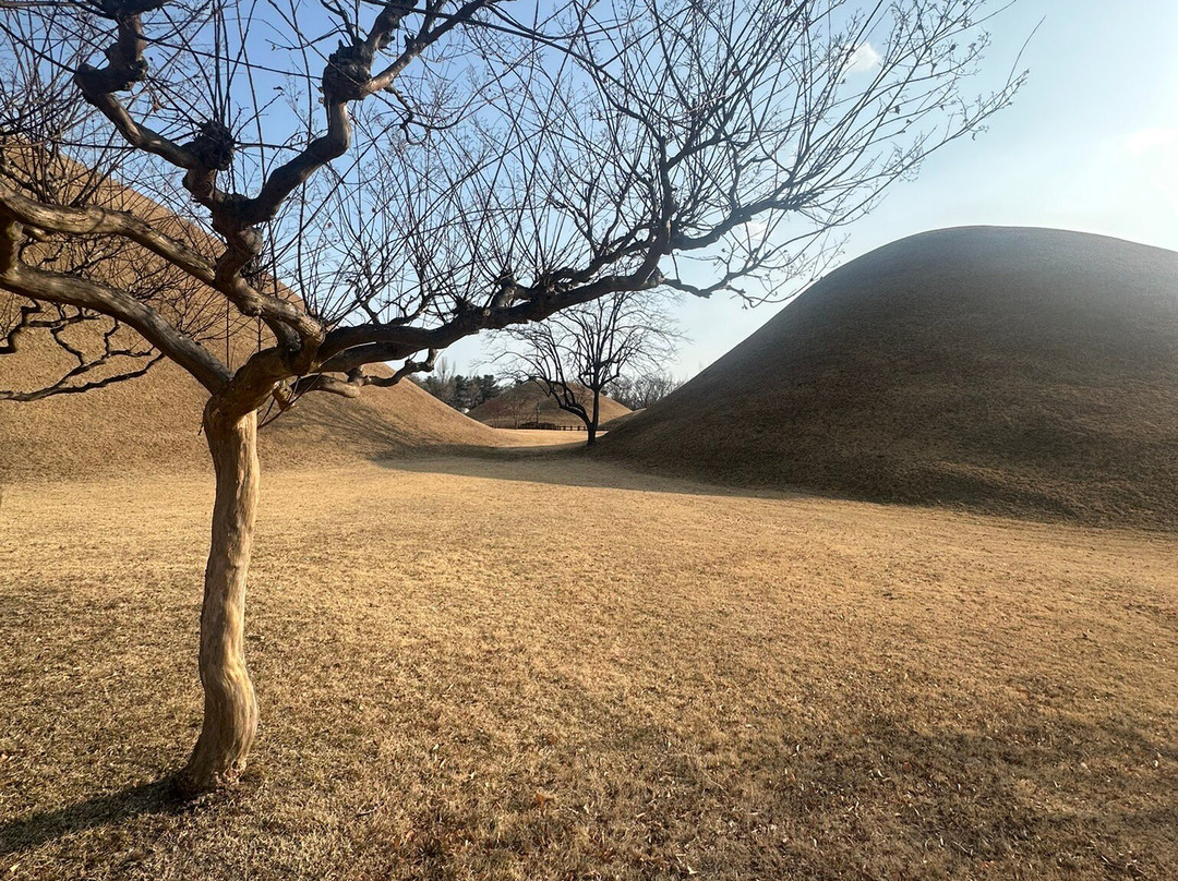 Daereungwon Tomb Complex-庆州市必去景点