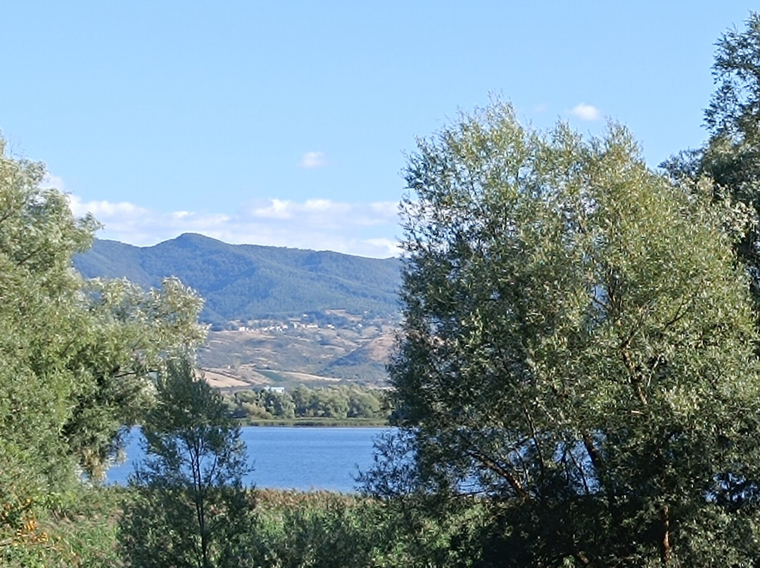 Pantano di Pignola-Pignola必去景点