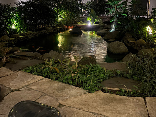 凤凰木酒店主图