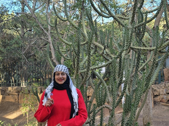 Ruines Romaines Tipaza-蒂帕萨必去景点