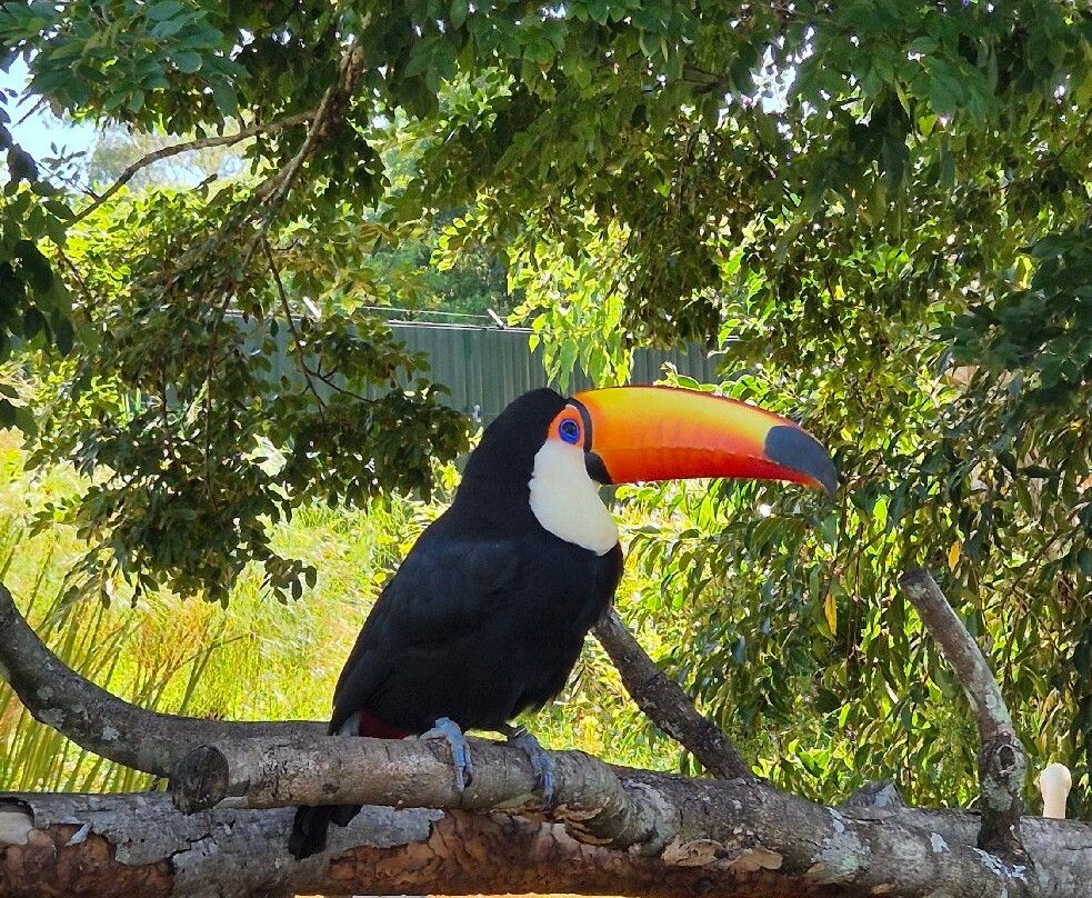 Dreams Park Show-伊瓜苏必去景点