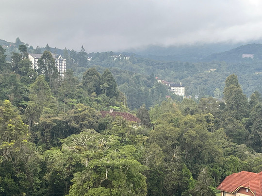 金马仑高原德拉菲儿斯酒店主图