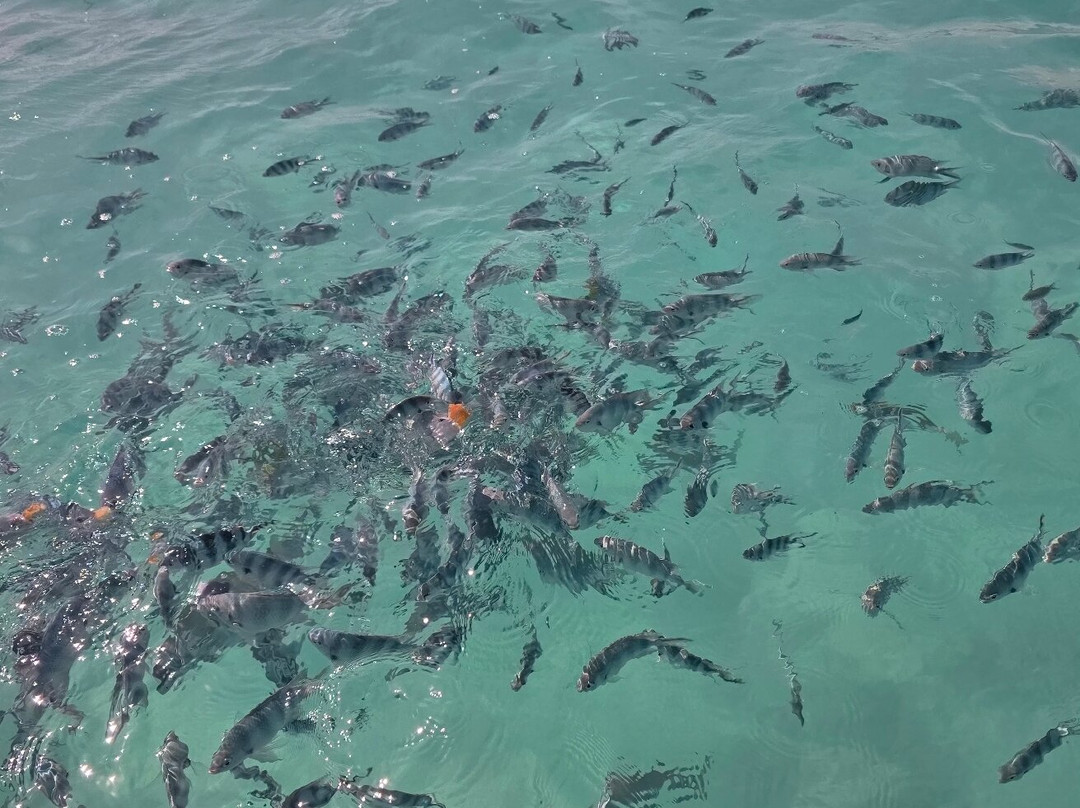 Ishaka Zanzibar Tours & Travel-必韦久必去景点