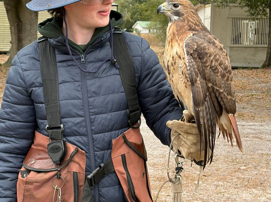 International Falconry Academy-Live Oak必去景点