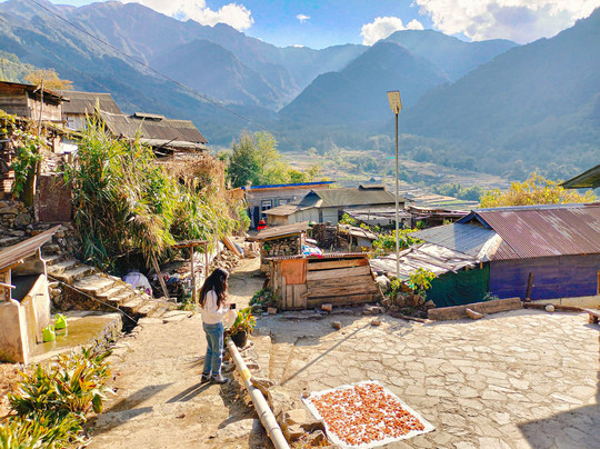 Pier Tours-Kohima必去景点