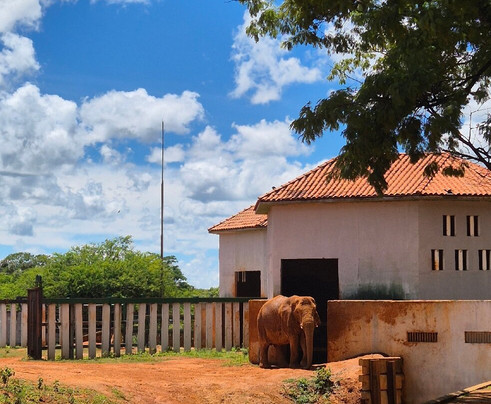 Jardim Zoológico De Brasília-巴西利亚必去景点