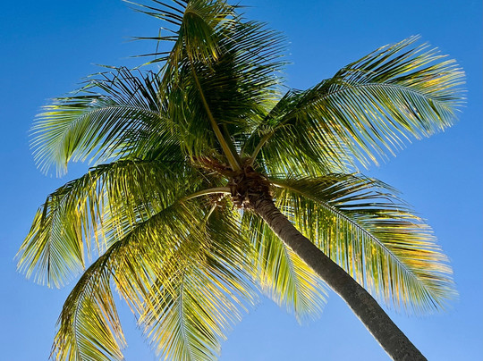 Plage de La Caravelle-Sainte-Anne必去景点