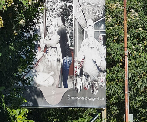 Equus Monteverde-Alto Cebadilla必去景点