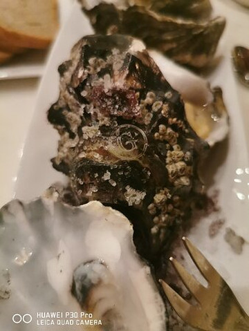 巴黎瑰丽酒店主图