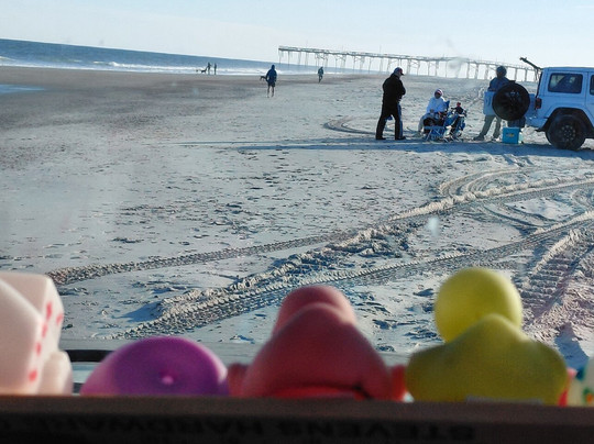 Freeman Park-卡罗来纳比奇必去景点