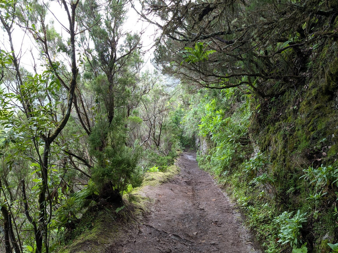 Gregorios Wanderfamily-圣克鲁斯-德特内里费必去景点