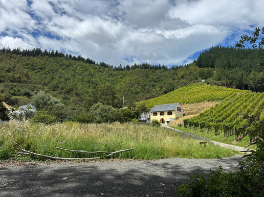 Johanneshof Cellars-布伦海姆必去景点