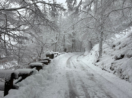 Hotel Togo Palace主图