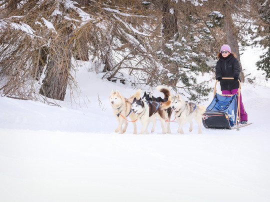 The Husky Experience Sestriere-Sestriere必去景点