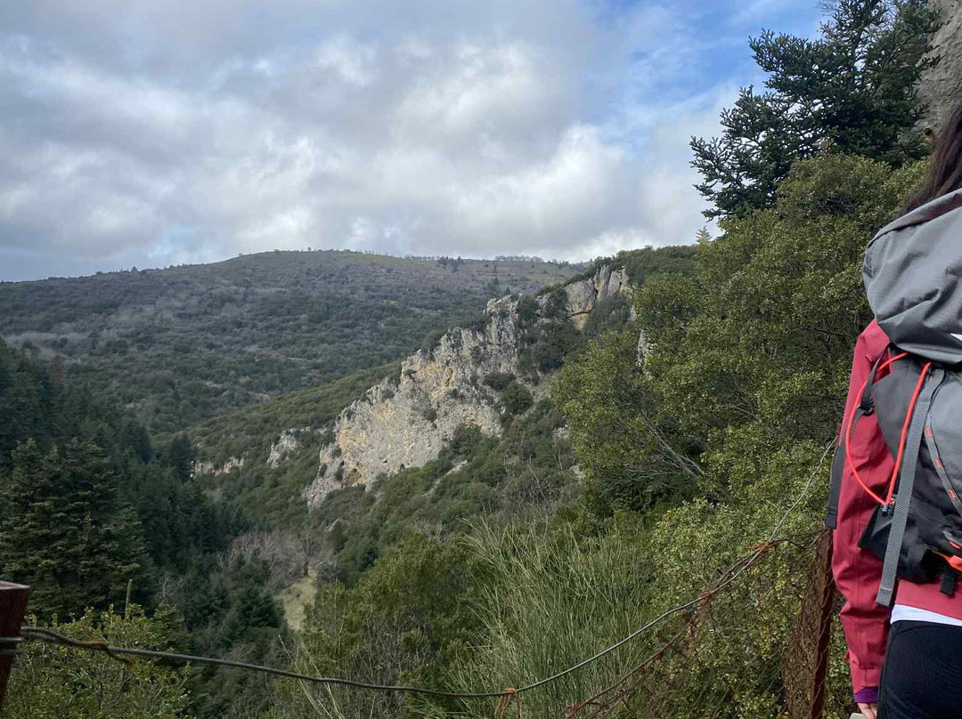 Irene's Healthy Life-Pallini必去景点