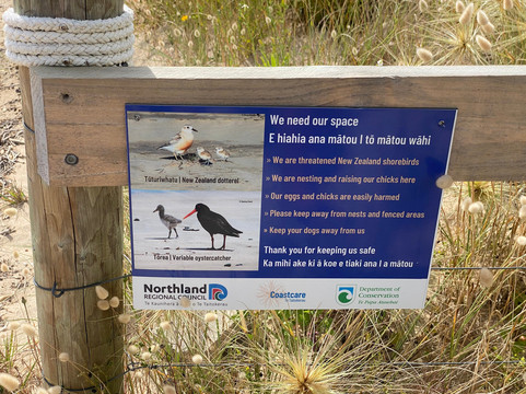 Matapouri Bay-Tutukaka必去景点
