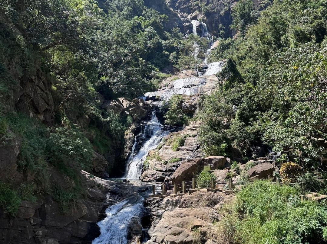 Falcons Tours-加勒必去景点